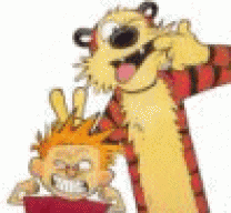VINOLI