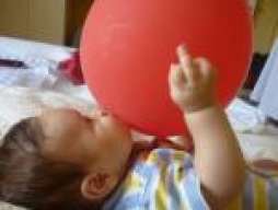 Eduardeis