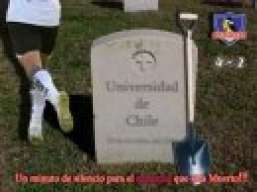 marclo olguin