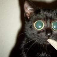 gatojaja