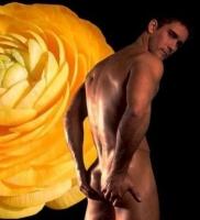 herco