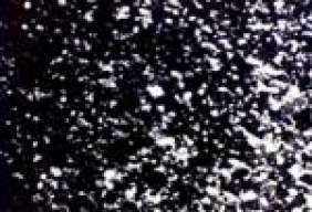 tatan188