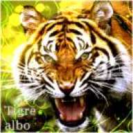 tigre_albo