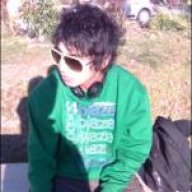 shelone