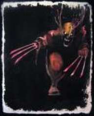 loganxxx