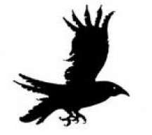 the crow x