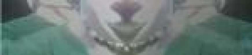 mañana Me Chanto