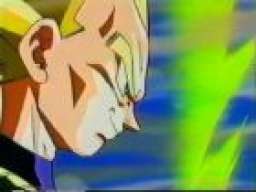 ~Vegeta.