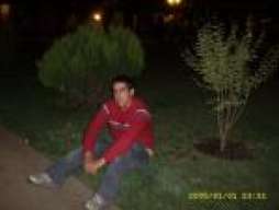The Cris