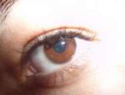 Melita894