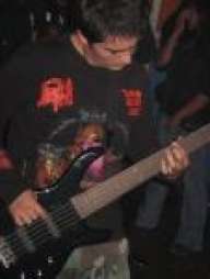 voxstelarum
