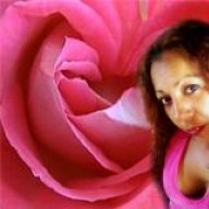 skylineflower