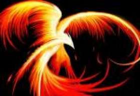 mc.phoenix