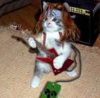 LoaR