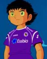 cogolloprensado