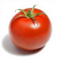 El.Tomate