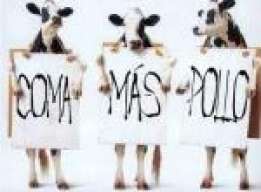 rayo72