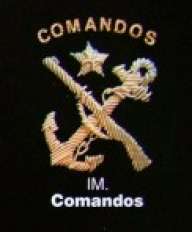 m.contreras