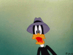 rutanegro