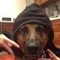 nachometalerox