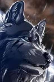 wolfknox