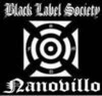 Nanovillo