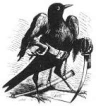 :blackbyte: