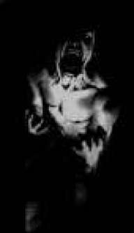 Lestat73