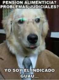 ignaciosd