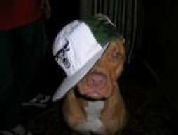 Rednose
