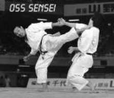 shihan