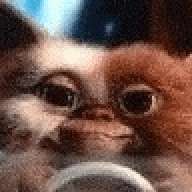 coqui451