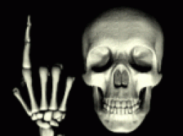 luis66
