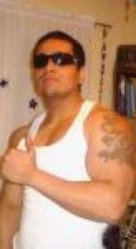 david pitbull