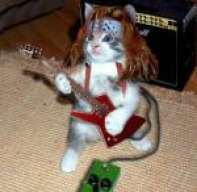 steelrocker