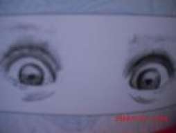 voladito_2009