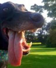 emilix
