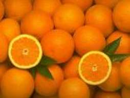 orange23