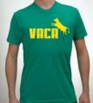 evcchan
