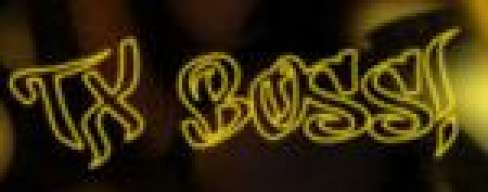 TX_BOSS