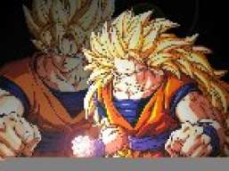 GOKU2007