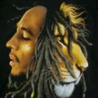 MaaX.-