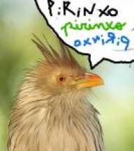 pirinxo