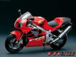 Duckcyc14