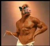 alf_77