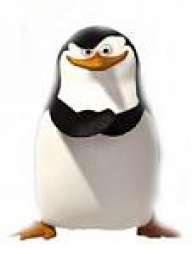 monrris