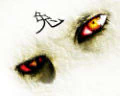 izoka.m