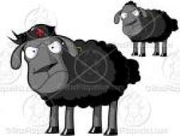 the.black.sheep