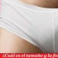 mister Cock