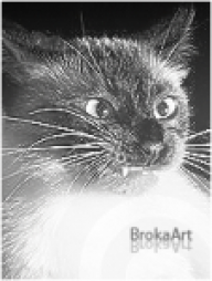 BrokaArt
